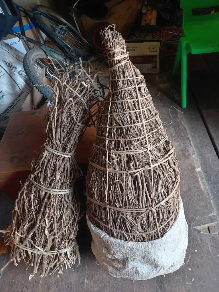 Kava roots